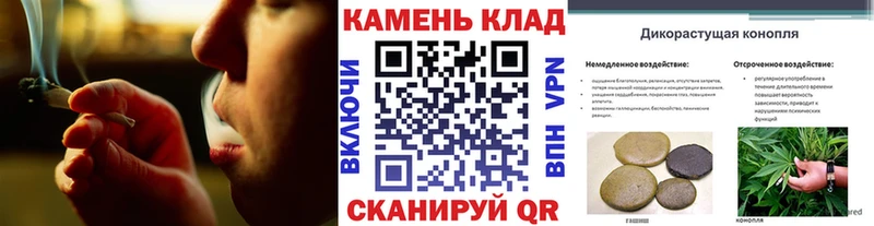 Магазин наркотиков Новочебоксарск APVP  МЕФ  Псилоцибиновые грибы  Амфетамин  Марихуана  ГАШИШ 