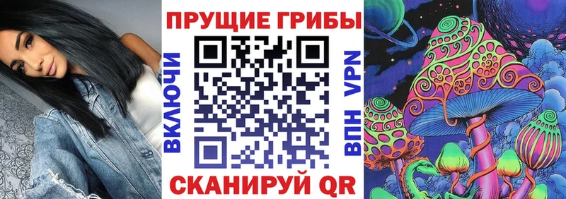 где можно купить наркотик  Новочебоксарск  Галлюциногенные грибы Psilocybine cubensis 