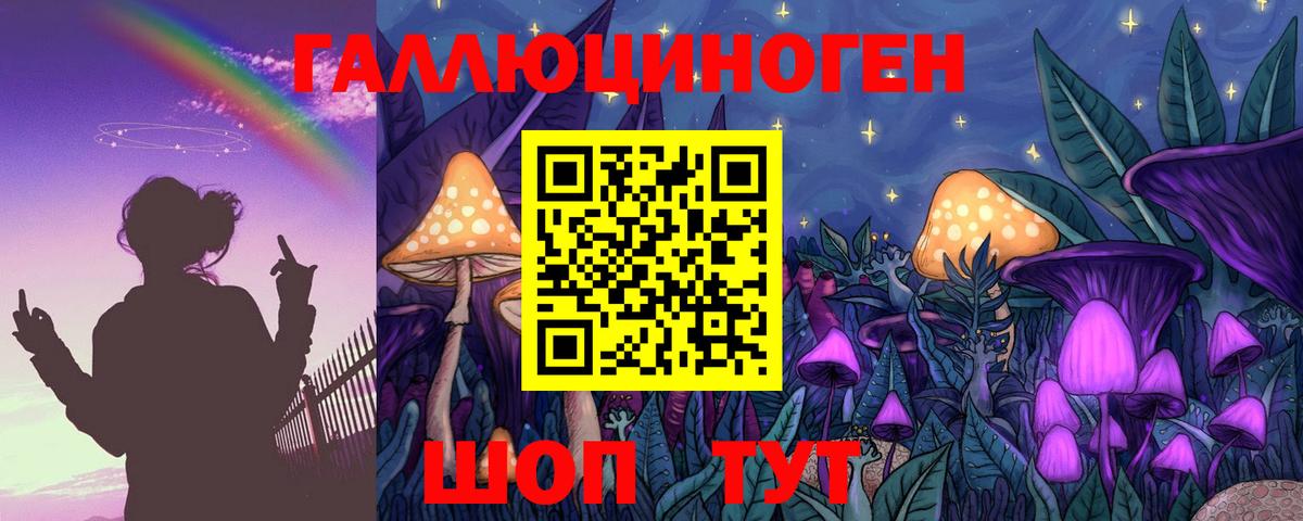 Псилоцибиновые грибы Cubensis  Вход с VPN  Новочебоксарск 